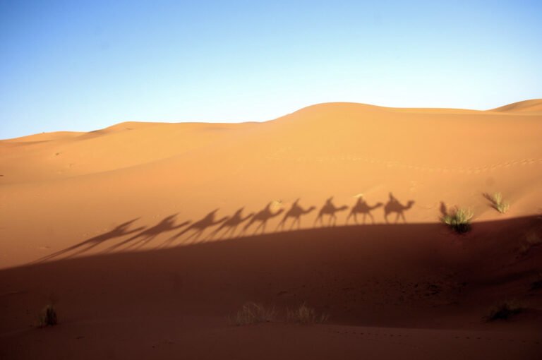 Tour di 4 giorni da Marrakech al Deserto