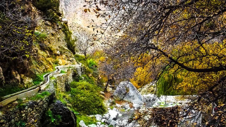 Day Trip to Ourika Valley from Marrakech