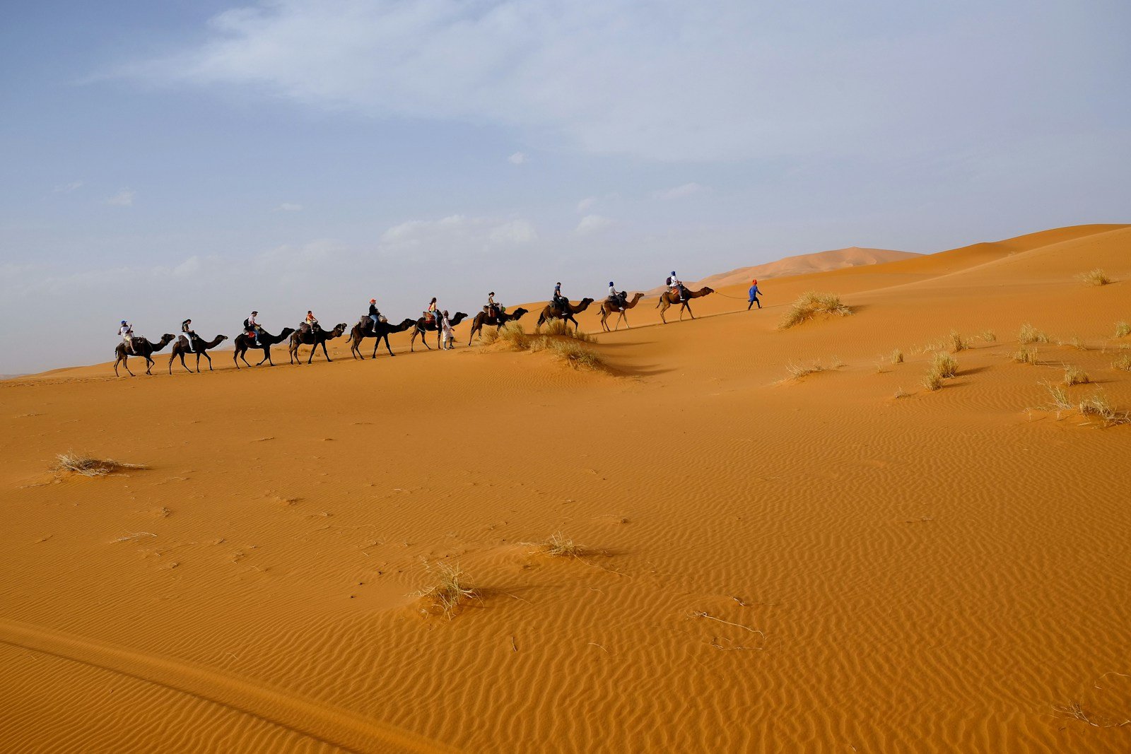 Tour di 7 giorni da Casablanca a Fes