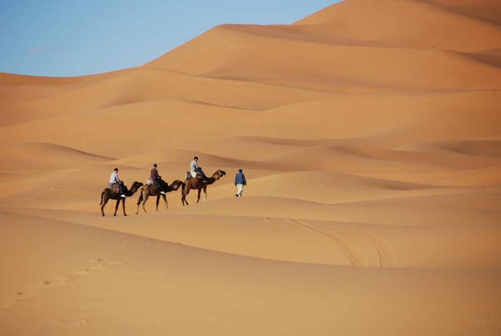 Marocco viaggi - camel trekking nel deserto